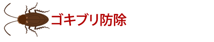ゴキブリ防除　ゴキブリ対策
