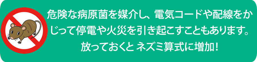 ネズミ駆除　ネズミ対策　ネズミ防除
