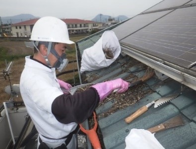 鳥被害 フンによる被害 三共プロテック