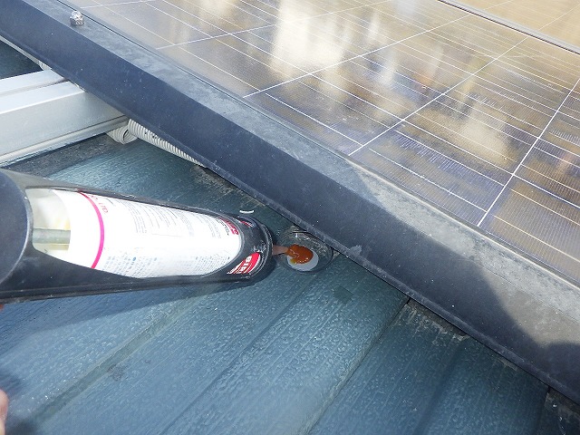 鳥被害 フンによる被害 三共プロテック