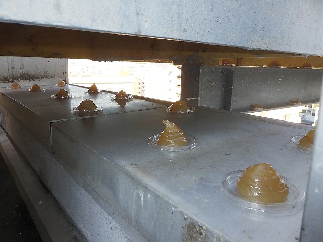 鳥被害 フンによる被害 三共プロテック