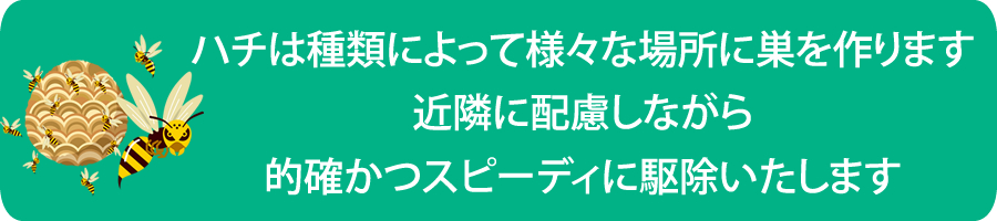 ハチの生態と対策（害虫　ハチ対策）