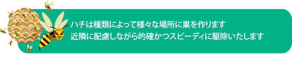 ハチの生態と対策（害虫　ハチ対策）