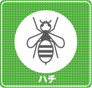 ハチの駆除