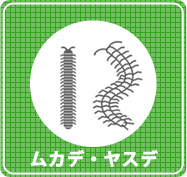 ムカデ・ヤスデ駆除