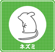 ネズミ駆除