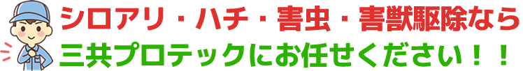 三共プロテックにお任せください